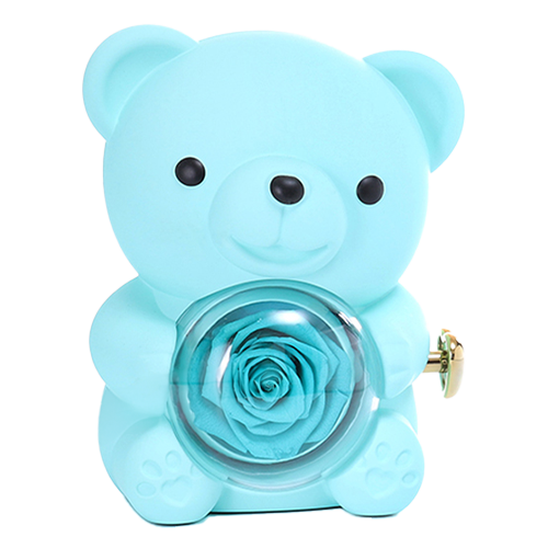 Eternal Rose Bear W/Engraved Necklace