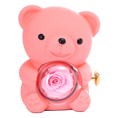 Eternal Rose Bear W/Engraved Necklace