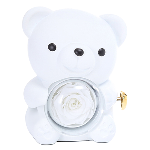 Eternal Rose Bear W/Engraved Necklace